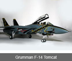 Grunman F-14 Tomcat